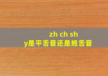 zh ch sh y是平舌音还是翘舌音